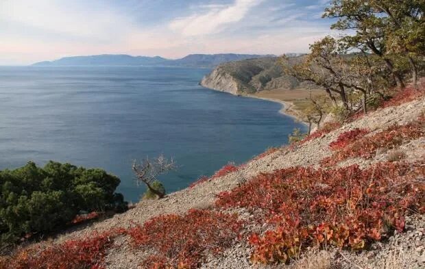 Завтра в Крыму будет пасмурная погода, без Мой Симферополь