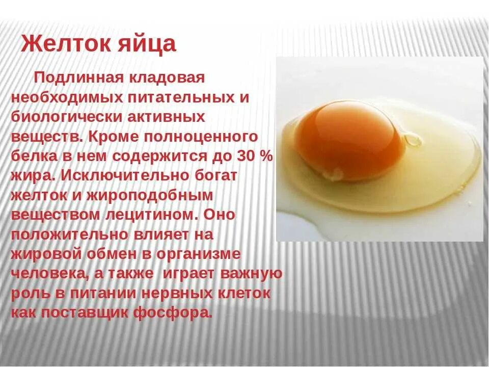 Желток куриного яйца. Питательные вещества в курином яйце. Что содержит желток куриного яйца. Полезные вещества в желтке яйца.