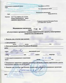 Медсправка 2023