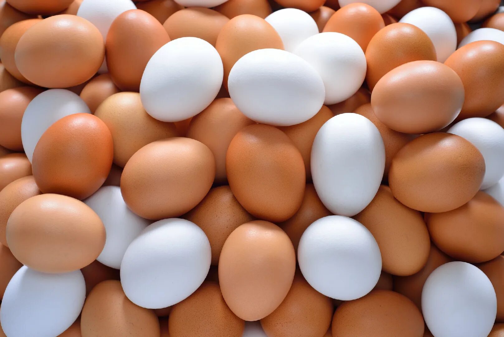 Яйцо куриное. Много яиц. Куриные яйца фон. Коричневое яйцо.