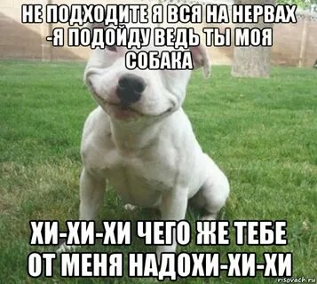 Не подходи ко мне