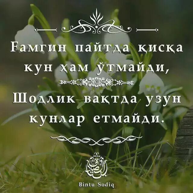 Кун хам. Мен хам сизни севаман. Кун хам. Аниме кун арт нозаки кун. Кун хам.