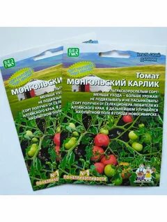 Помидор монгольский карлик описание сорта фото отзывы