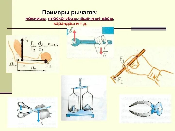 Рычаги в природе физика 7 класс. Система рычагов в физике. Рычаг примеры физика. Примеры рычагов физика 7 класс. Примеры простых механизмов физика 7.