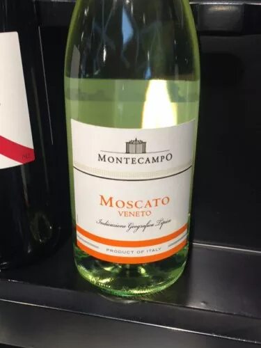 Вино белое Moscato Veneto. Москато Венето Монтекампо. Игристое вино Moscato Veneto Montecampo. Montecampo Moscato Veneto Казань. Moscato вино купить