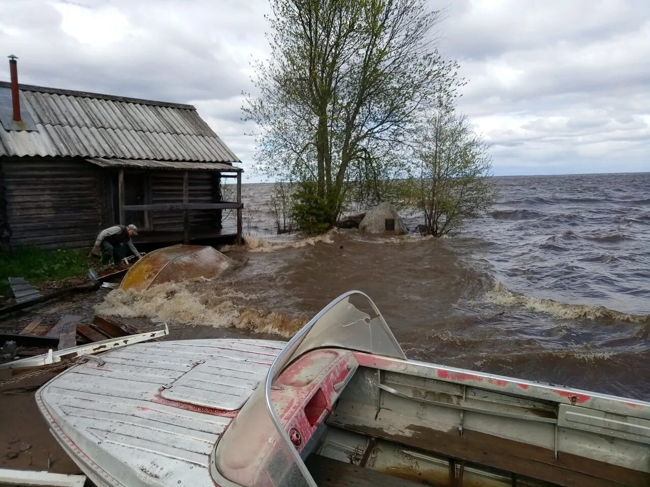 Погода озера воже. Озеро Воже. Озеро Воже Вологодская область. Остров спас на озере Воже. Липовка озеро Воже.