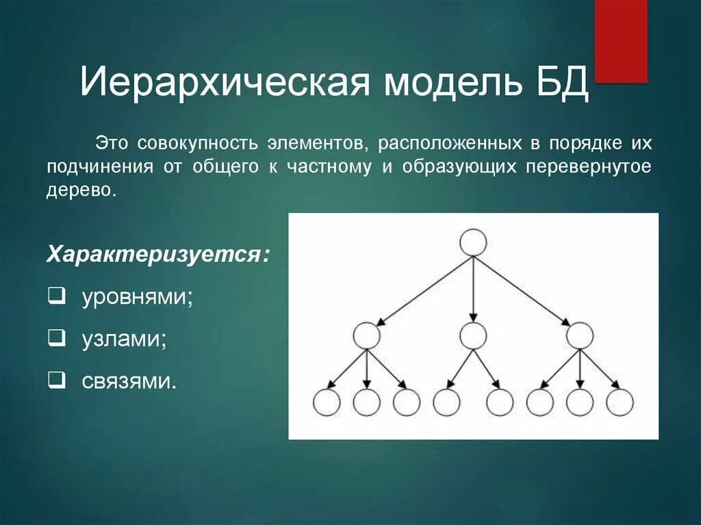 Модель иерархической системы. Иерархическая модель. Иерархическая модель данных. Иерархическая модель базы данных. Иерархическая модель данных схема.