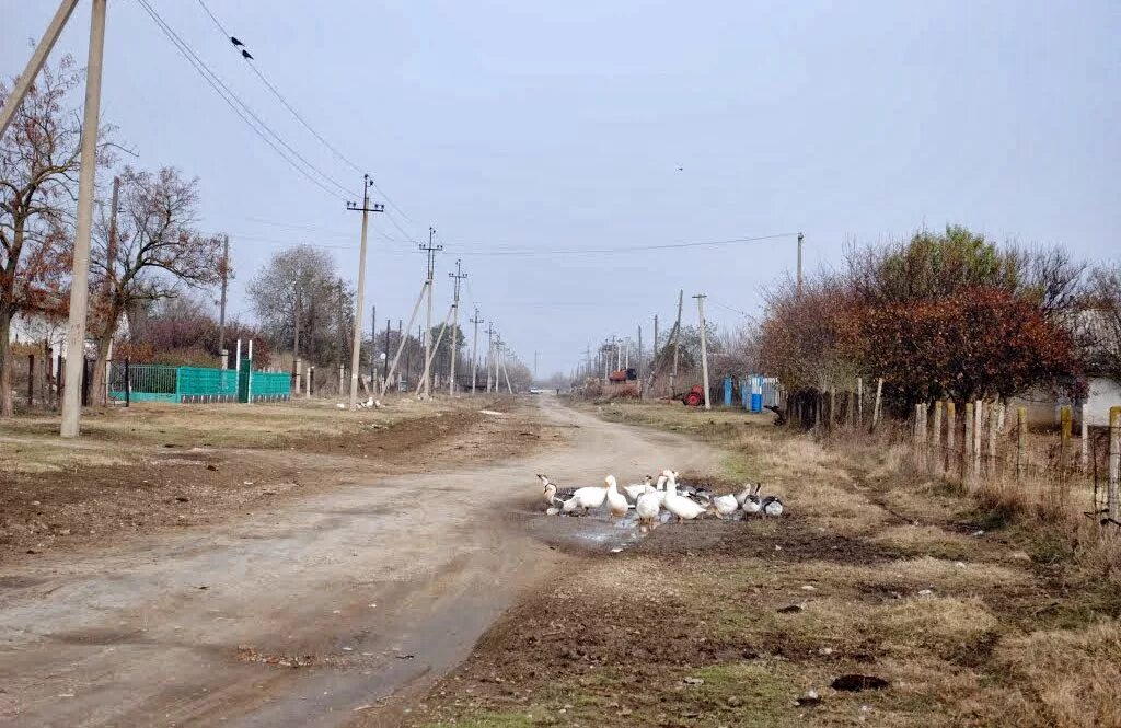 Красногвардейский район село Новопокровка. Село Новопокровка Красногвардейский район Крым. Новопокровка Крым Кировский район. Село Новопокровка Кировский район. Погода в приморском крае новопокровка