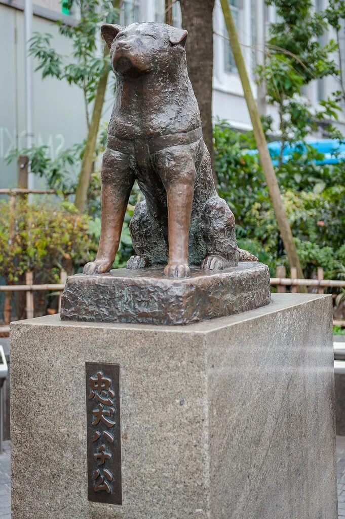 Хатико николаевское. Памятник Хатико в Токио. Памятник собаке Хатико в Японии. Станция Сибуя Япония Хатико. Сибуя Токио статуя Хатико.
