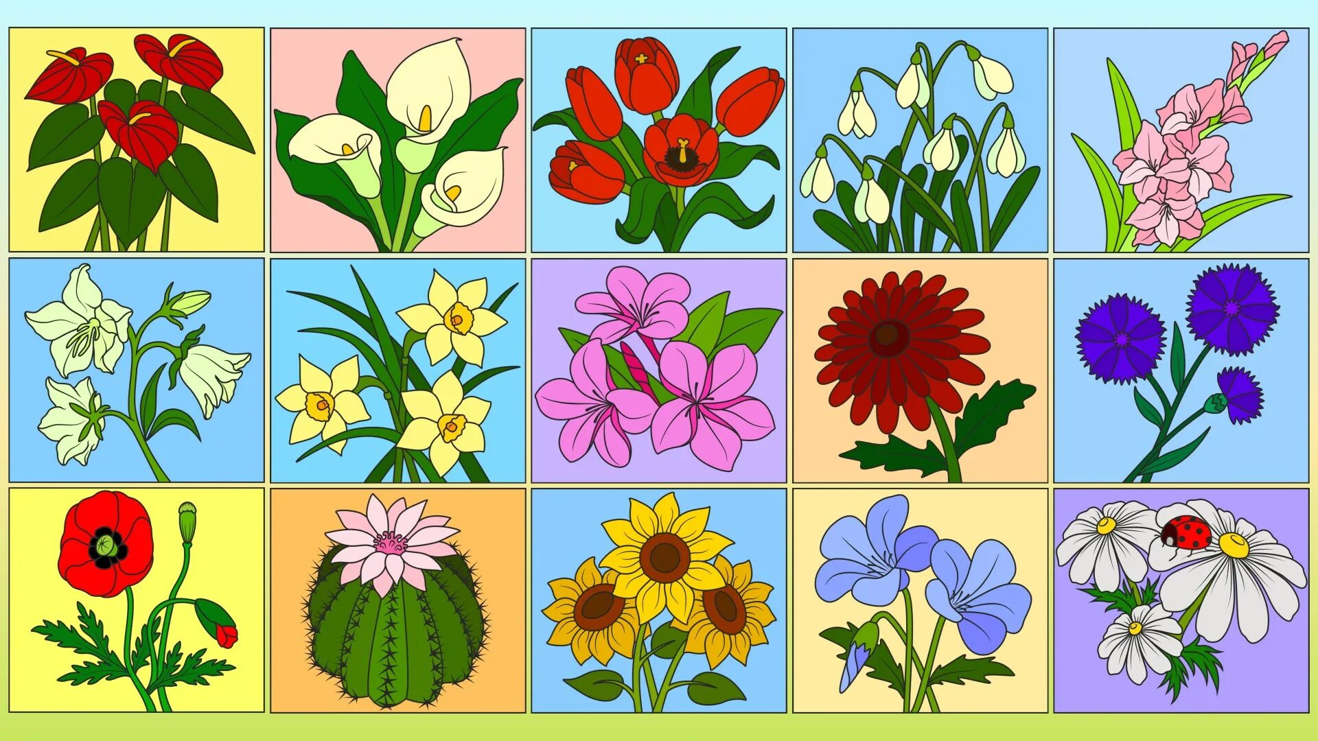 Дидактические игры на тему цветы. Цветы для детей. Цветы для математики для дошкольников. Цветочки разных цветов для детей. Игры о цветах для дошкольников.