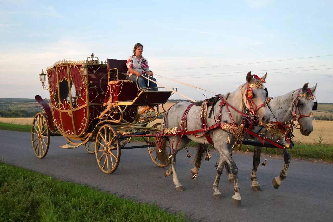 File:Horse (Cleveland Bay) Drawn Clarence (Brougham) Carriage & Victoria Memoria