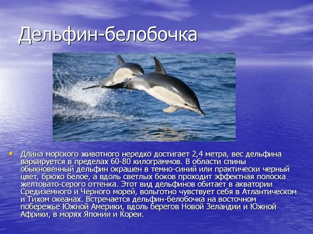 Легенда поведала о дельфине как понять выражение