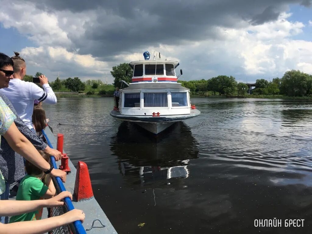 Теплоход гродно. Теплоход Гродно в Бресте. Прогулка на теплоходе. Собака на теплоходе.