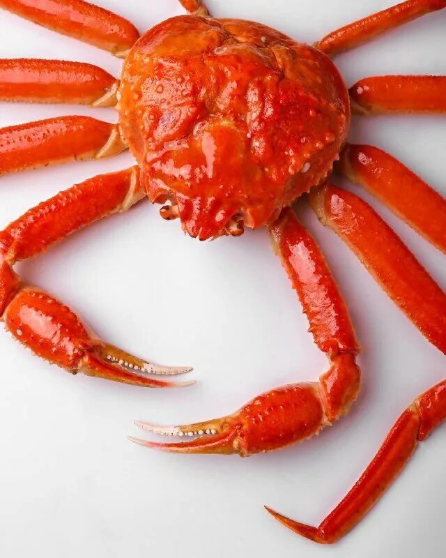 1 кг крабов. камчатский краб 3 кг. 1 кг крабов. 1 кг крабов. колючий краб фото.