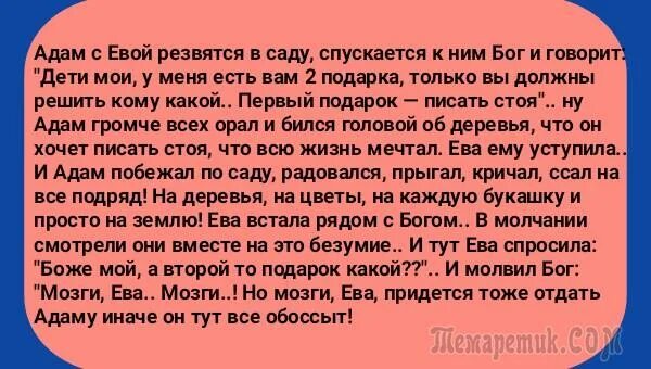 Писать стоя анекдот. Анекдот про адама и еву про мозги. Анекдот про адама и еву. Анекдоты про бога, адама и еву. Писать стоя анекдот.