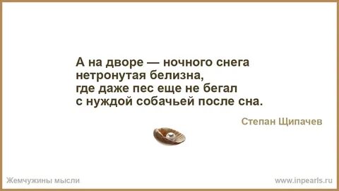 В лесу еще снег лежит нетронутый