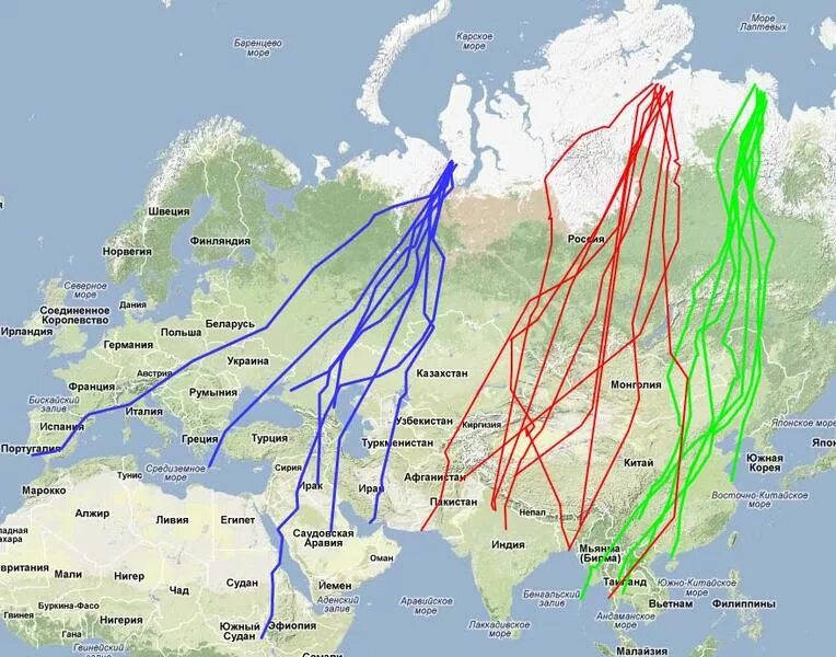 Куда летят гуси весной в россии. Путь миграции белолобого гуся в России. Карта миграции гусей в России весной. Пути миграции гусей на карте России. Пути весенней миграции гусей в России.