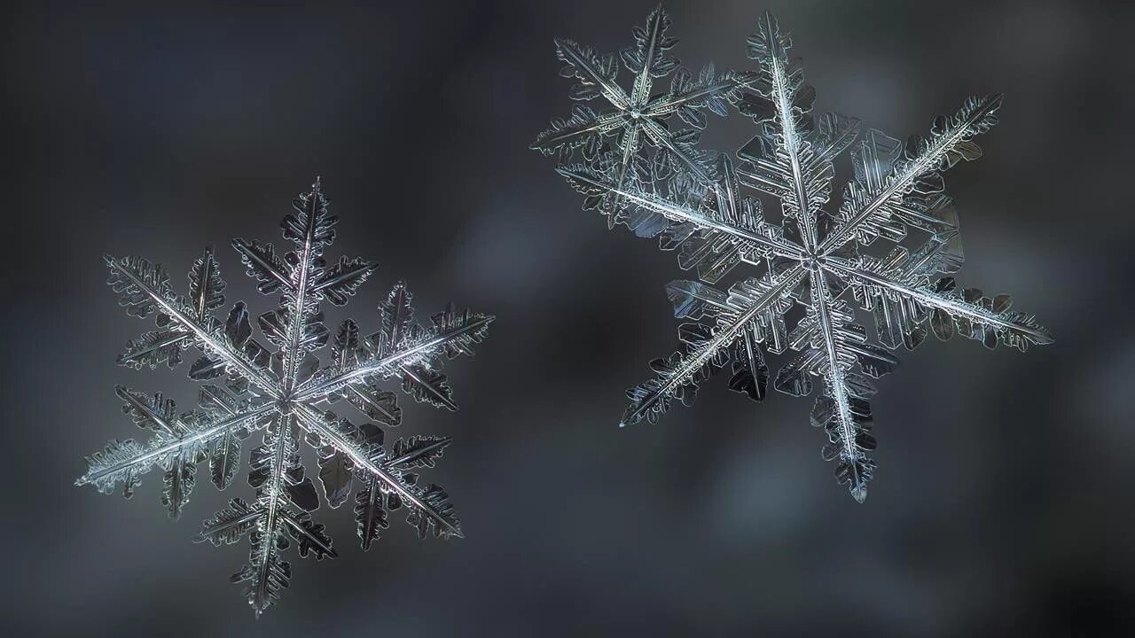 Размер елочной игрушки снежинка. Зимние снежинки. Две одинаковые снежинки. Снежинки крупным планом. Снежинки.