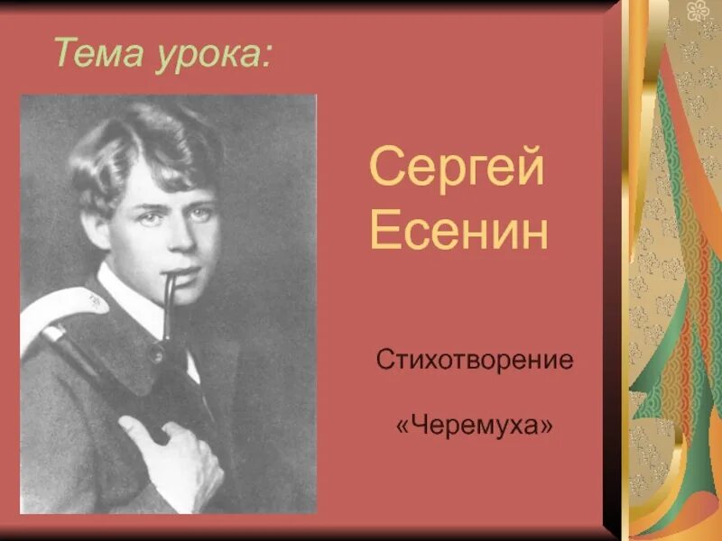 Черемуха Есенин стихотворение. Есенин с. а. "черемуха". Есенин тема урока.