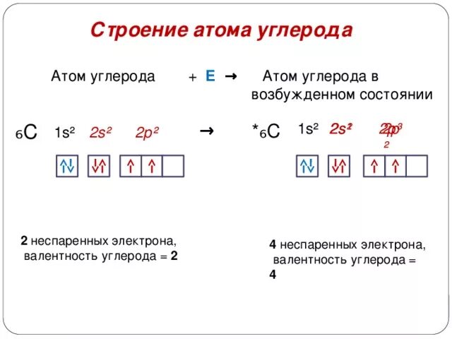 Сколько неспаренных электронов в основном. Электронное строение внешнего уровня атома углерода. Строение энергетических уровней углерода. Строение углерода по уровням. Строение электронной оболочки углерода.