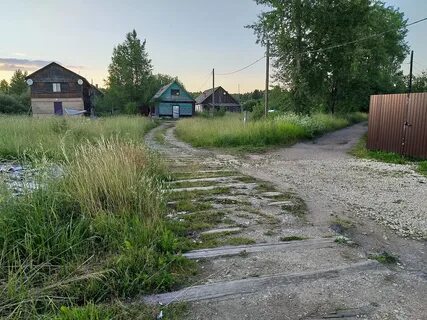Станция чаща
