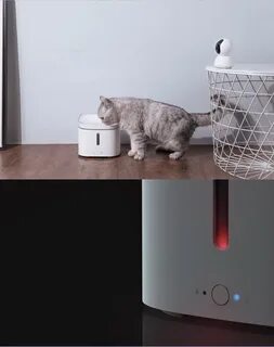 Xiaomi smart pet