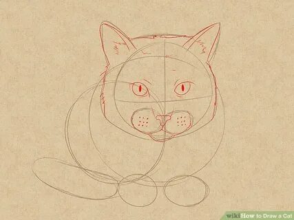 Как нарисовать сложных котиков