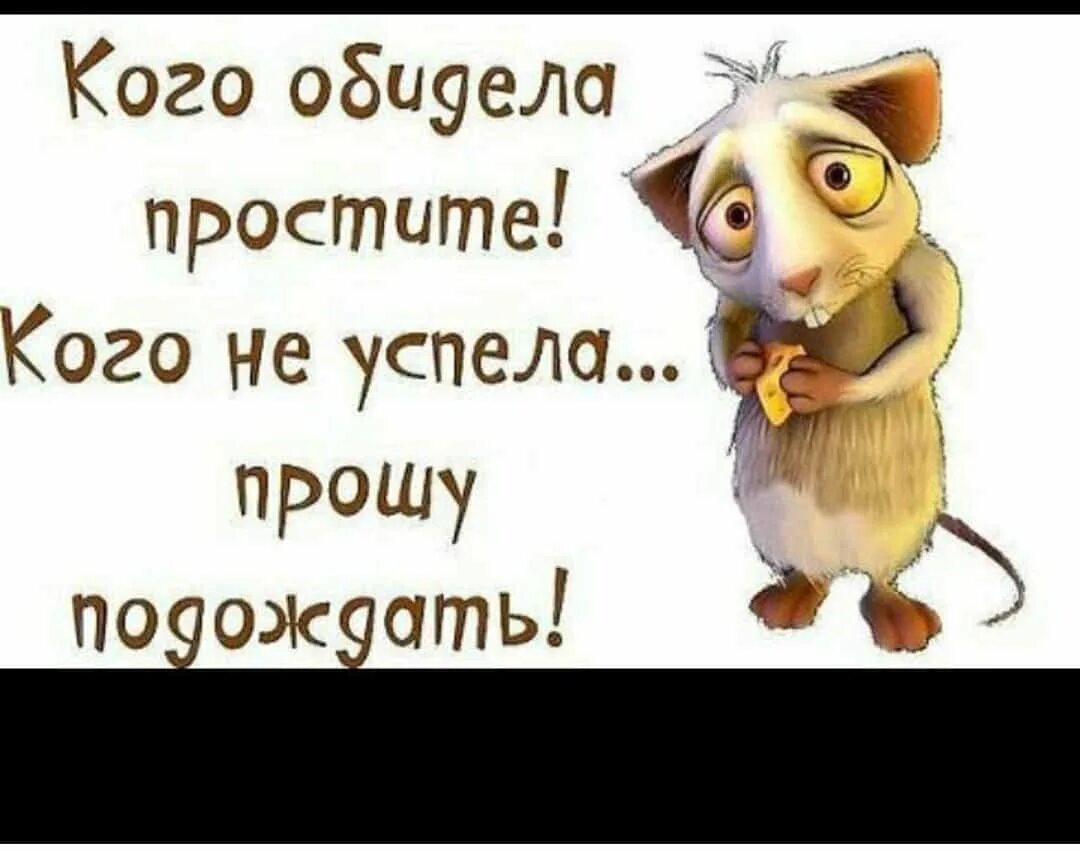 Простите все кого я чем обидела. Прощенное воскресенье прикол. Юмор Пио Прощеное Воскресение. Смешные цитаты. Всех кого обидела простите.