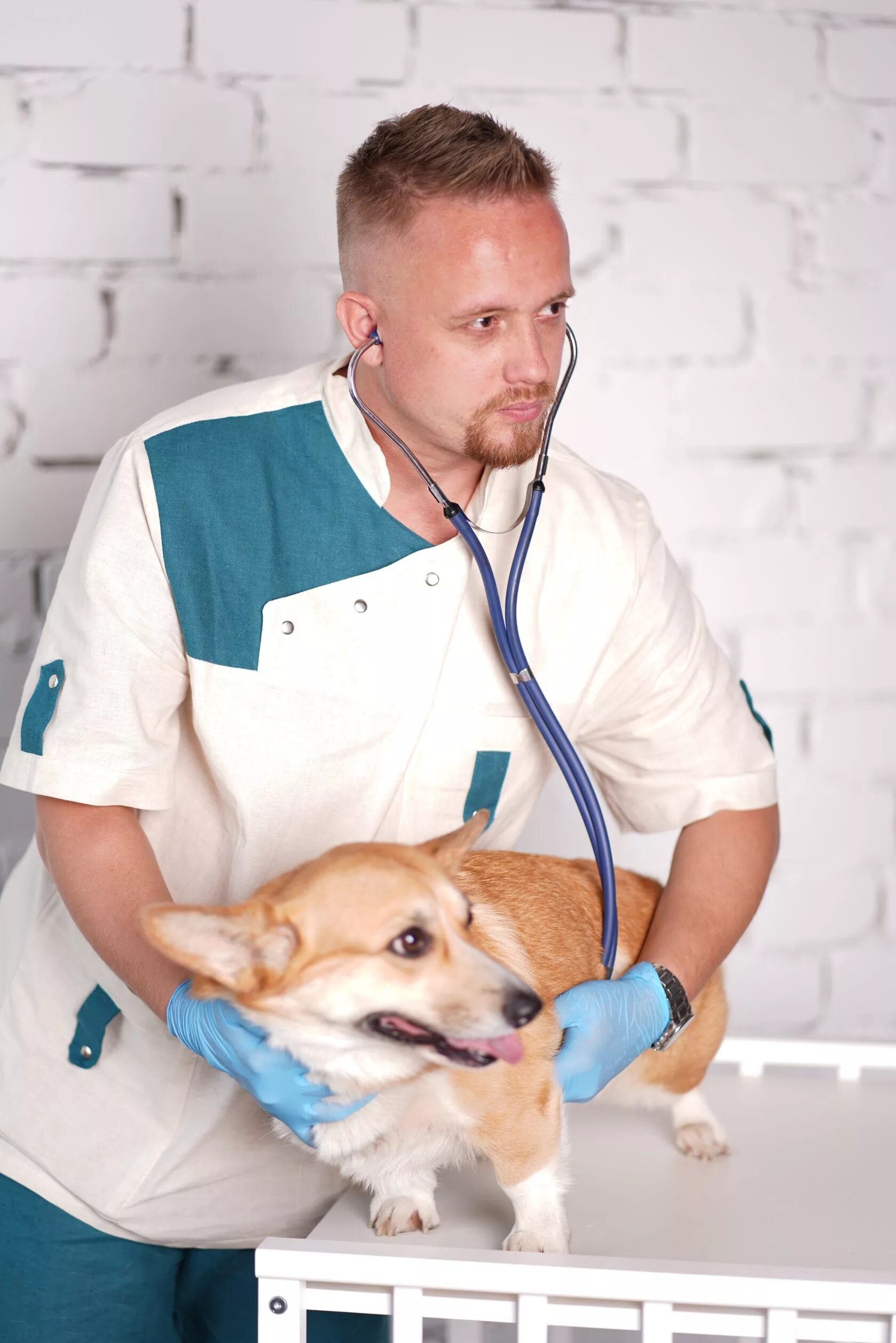 ветеринарная клиника. думанский виталий доминикович. ветеринарный врач на дом москва. ветеринарный врач на дом москва. ветеринарный врач на дом москва.