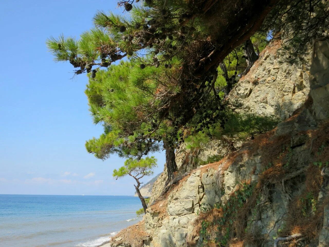 Горы на берегу черного моря
