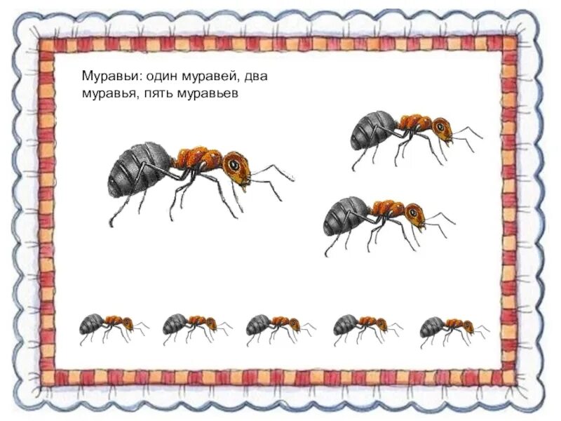 Насекомые развивающие задания. Задания по теме насекомые для дошкольников. Задания насекомые старшая группа. Задания для детей по теме муравьи. Лексическая тема насекомые