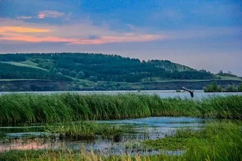 Село мордово ульяновская область