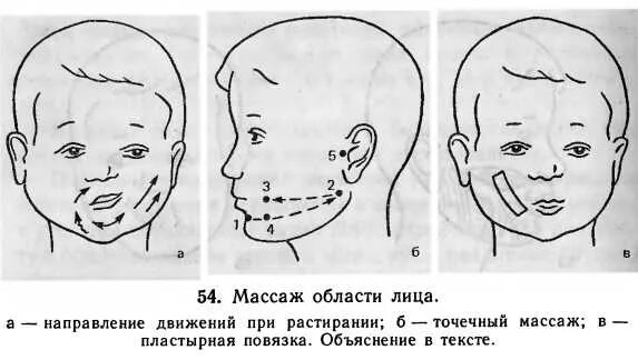 Сглажена носогубная складка. Сглаженность носогубной складки у детей при дизартрии. Сглаженность носогубных складок при дизартрии. Сглаженность носогубной складки. Сглаженность носогубных складок в логопедии.