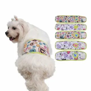 Pet shorts