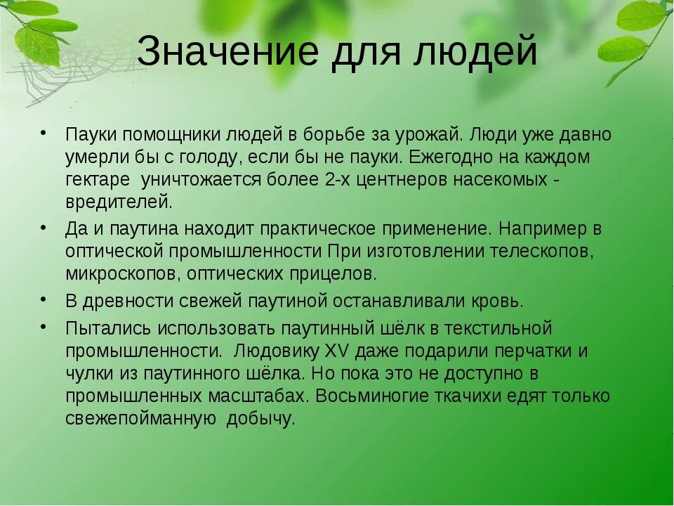 Значение паукообразных в жизни человека