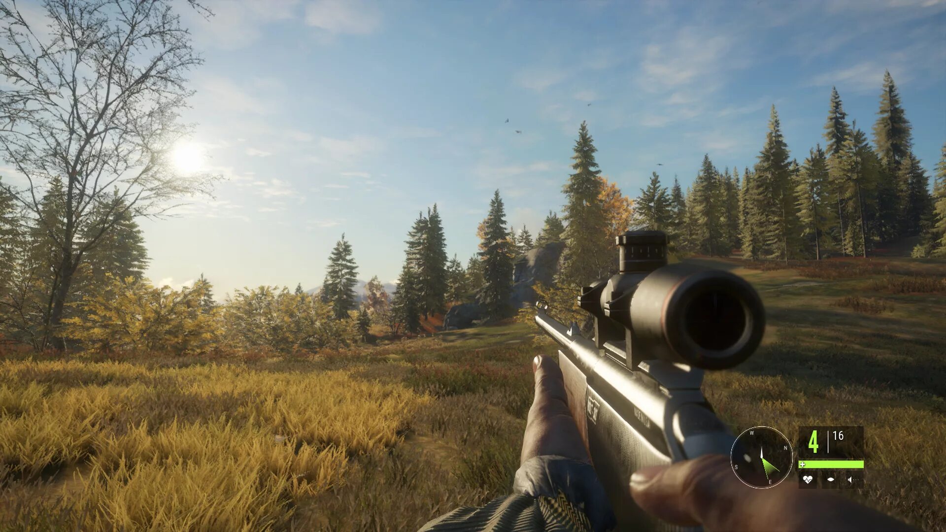 The hunter call of the wild мод. Игра the hunter call of the wild. the hunter call of the wild оружие. thehunter classic. the hunter call of the wild ружья.