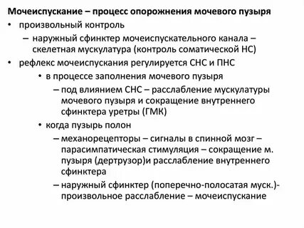 Положение мочеиспускания
