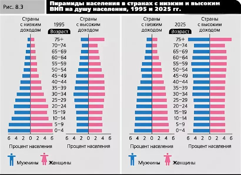 Сколько хватает женщине. Процент населения России по возрастам. Процент населения по возрасту. График населения стран.