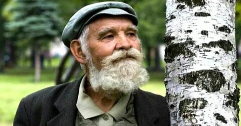 Понял деда