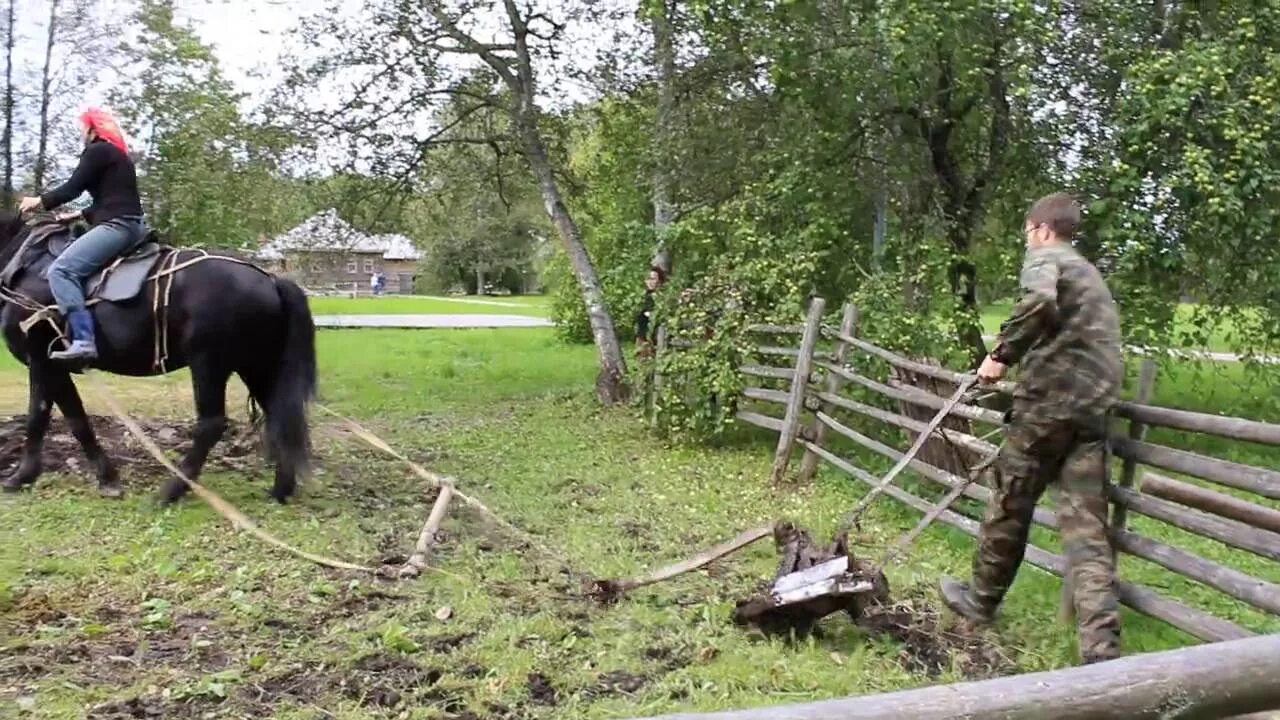 Огород на коне. Огород на коне