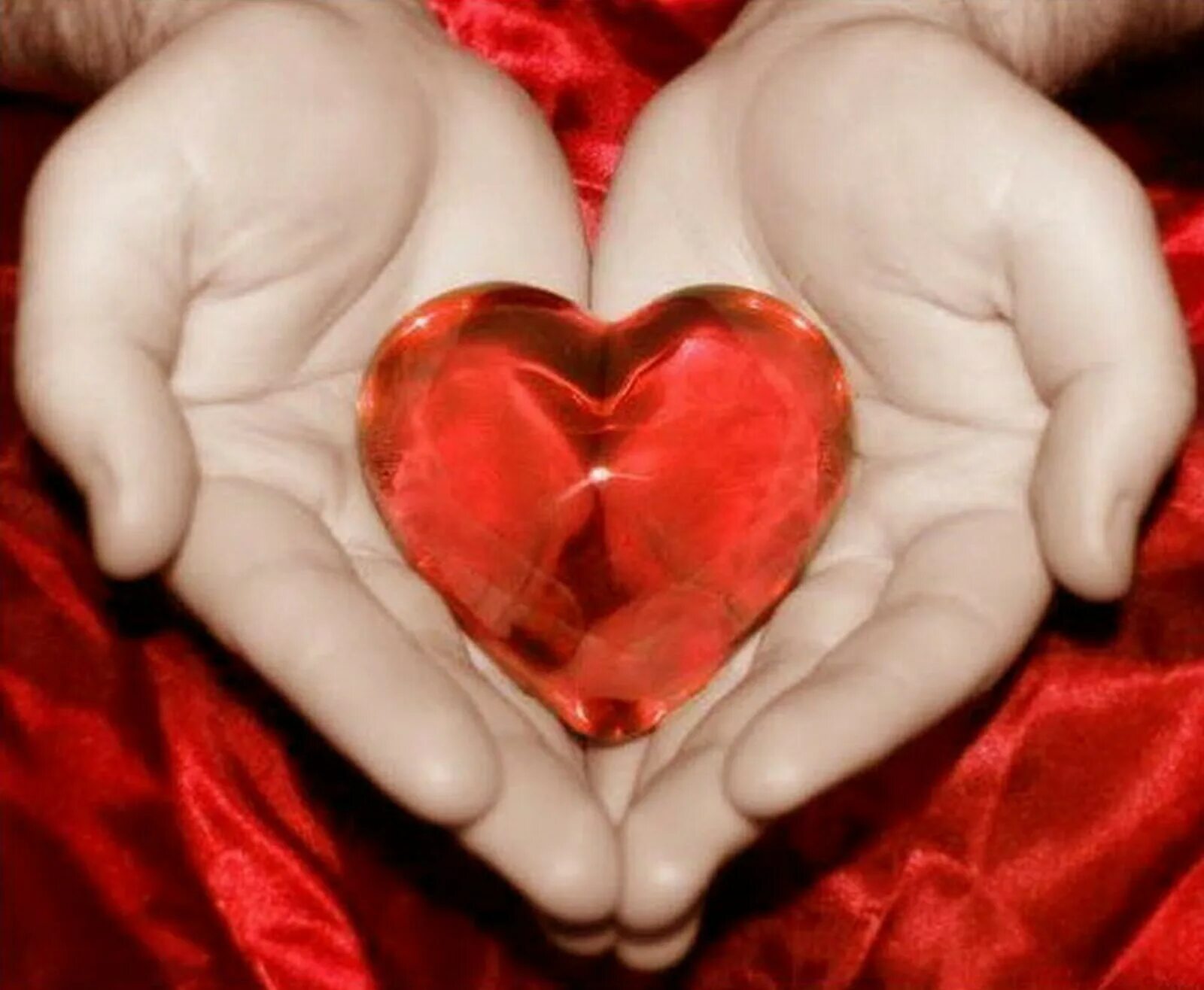 Сердце твое двулико. Большое сердце для любимой. Бьющееся сердце в руках. Дарю сердце. Сепдцемв руках.