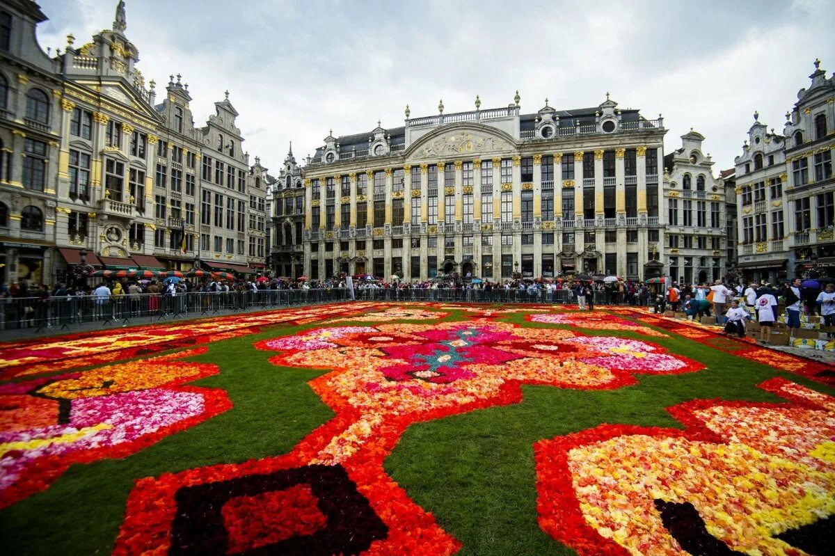 Европейский сток. Площадь Гранд плас Брюссель. Гранд плас Брюссель цветочный ковер. Бельгия Брюссель цветочный ковëр. Брюссель площадь Шумана.