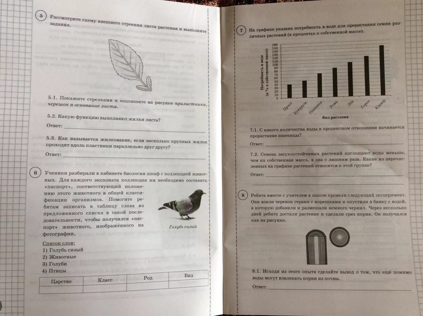 Впр по биологии 6 класс