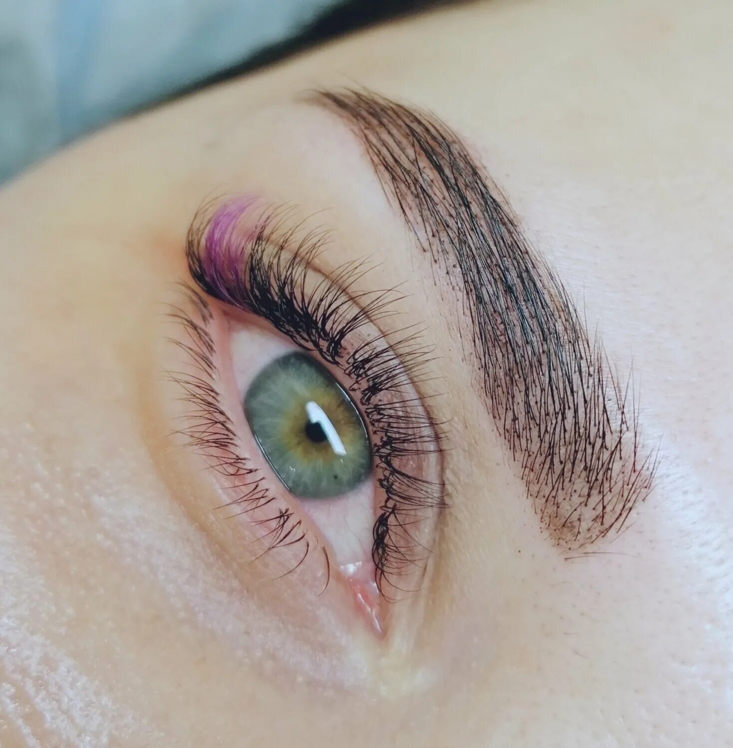 накрашенные нарощенные ресницы. ювидерм волюма. лисий кукольный беличий эффект. волюма. цветные ресницы.