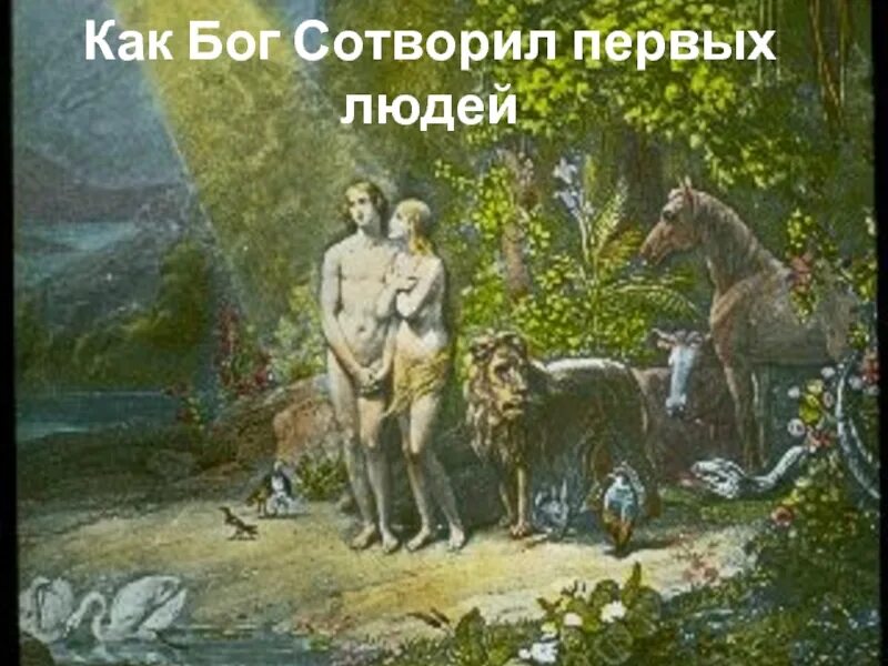 Как бог создал человека