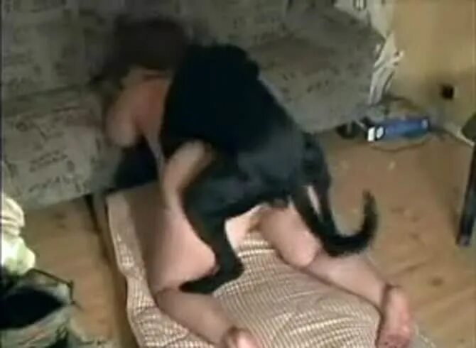 Пес Ебет Грудастую Шлюху Видео