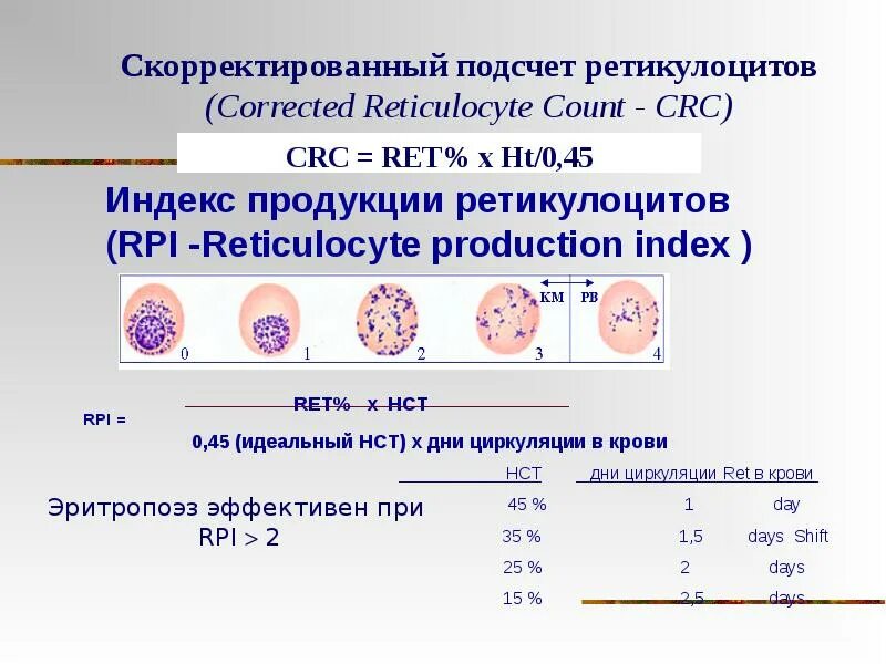 Абсолютные ретикулоциты повышены. Индекс продукции ретикулоцитов норма. Индекс зрелости ретикулоцитов норма. Индекс созревания ретикулоцитов. Классификация ретикулоцитов.