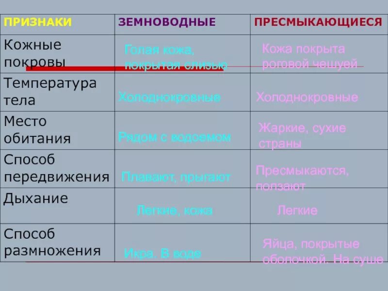 Пресмыкающиеся таблица. Таблица по рептилиям. Рептилии таблица 7 класс. Представители пресмыкающиеся таблица.