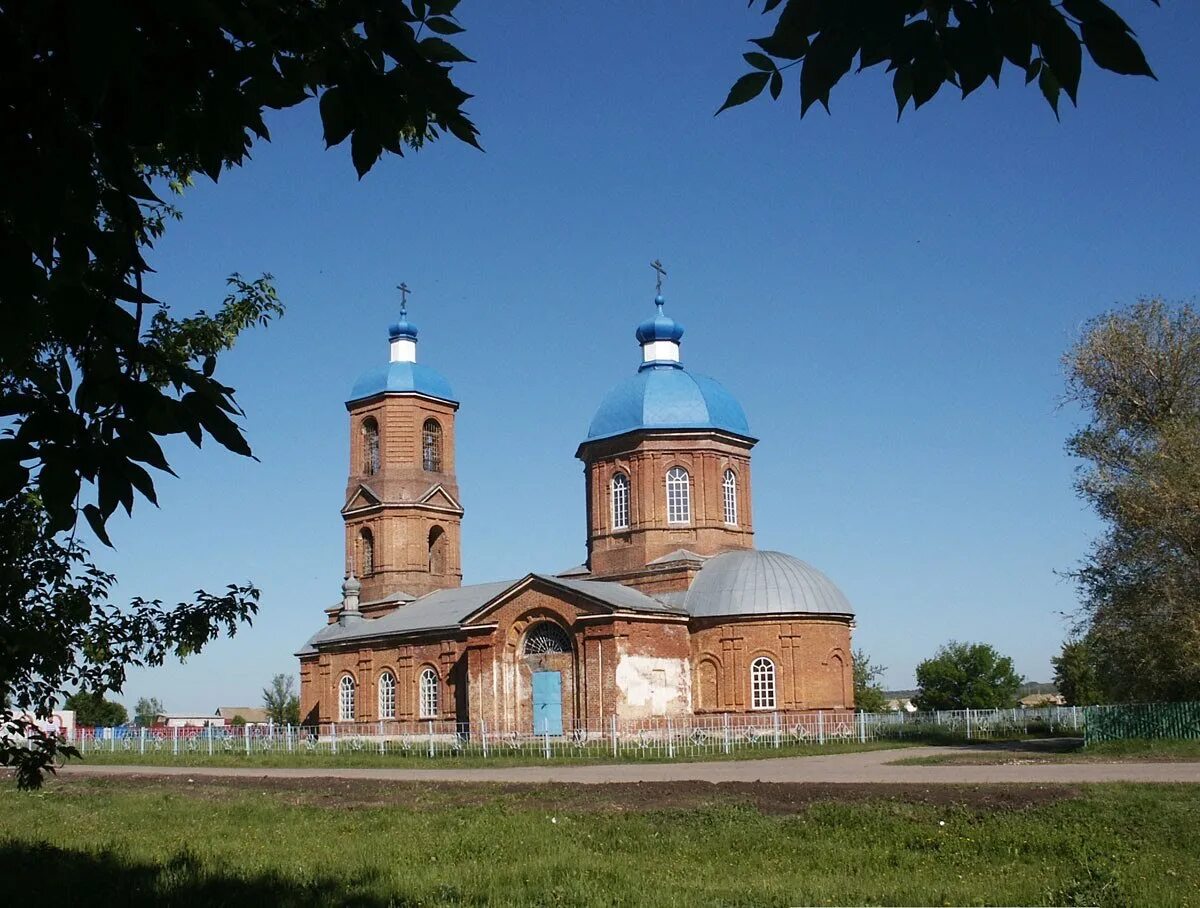 Вязовка самарская область. Храм в селе сухая Вязовка. Сухая Вязовка Церковь Дмитрия Солунского. Радищевский район Вязовка храм. Сухая Вязовка Самарская область.