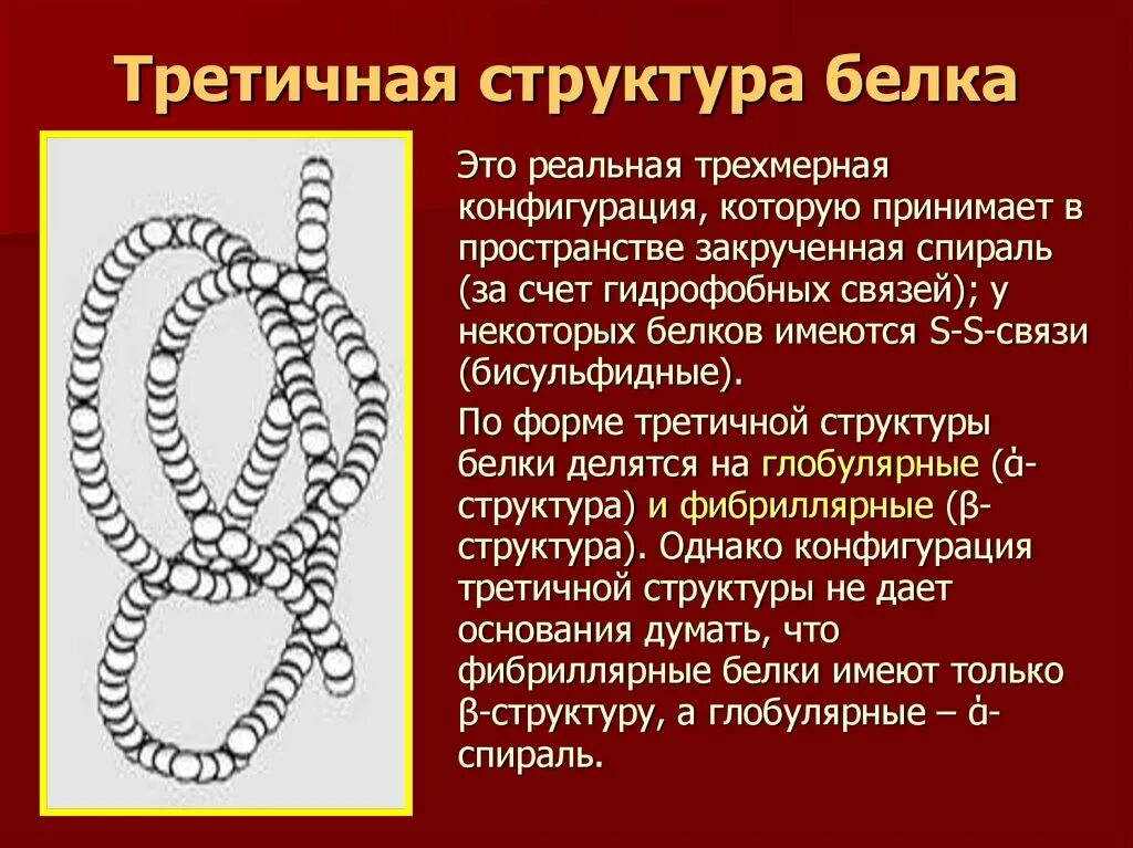 Третичная структура белка данная структура. Этичная структура белка. Третичная стурктур абелка. Тритичнаяструктура белка. Иретичная структура белк.